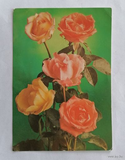 Открытка из СССР 1982г, подписанная.