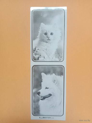 Закладка Кооператив Зенит