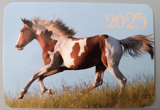 Лошадь. Календарик, 2025, глянец