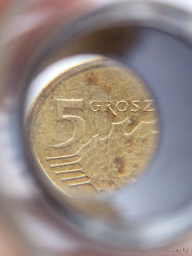 5 грошей Польша 2014 Брак двоение и раскол.