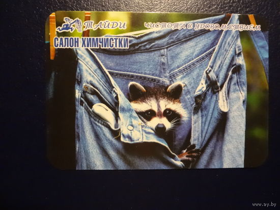 Календарик 2006 г.  Чистота с удовольствием.