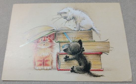 Посткроссинг. Открытка котята (10х15). Прошла почту. Художественые марки, чёткий штемпель.