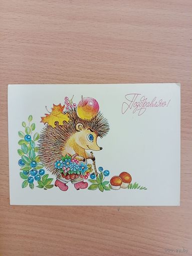 Открытка,Жебелева чистая