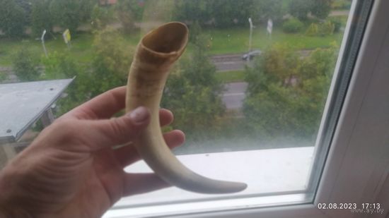 Рог