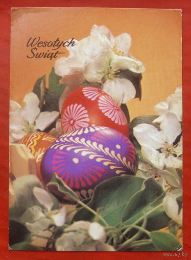 Польская. Чистая. 1896.