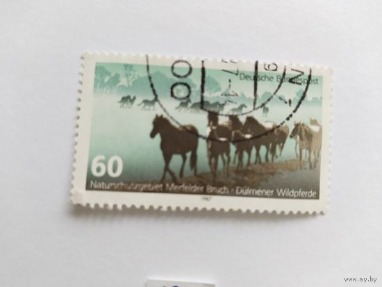 ФРГ  1987  лошади