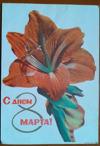 Ананьины С праздником 8 марта. 1965 г Пкмб им.Коласа. Подписана