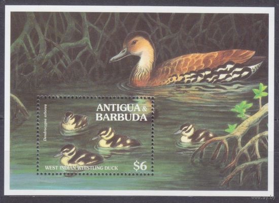 1995 Антигуа и Барбуда 2196/B320 Птицы / Утки 7,50 евро