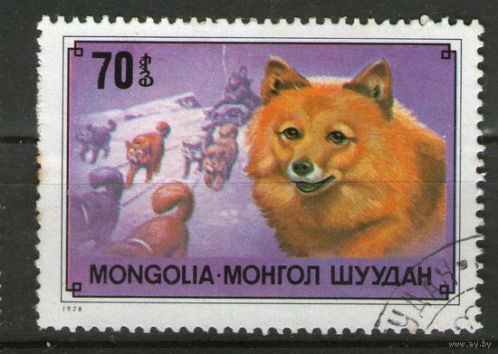 Монголия. Гашеная. Лот-1
