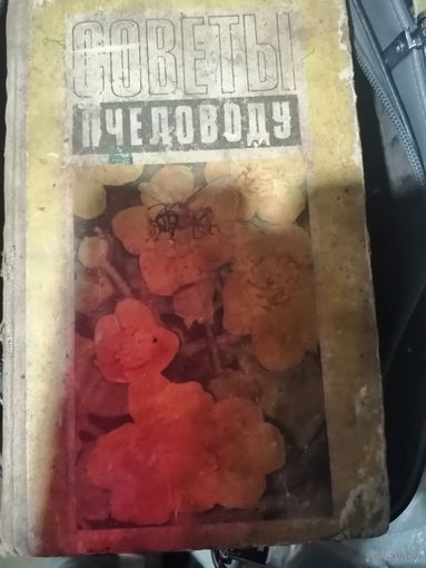 Советы пчеловоду