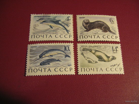 Марки Морские млекопитающие 1971 год СССР
