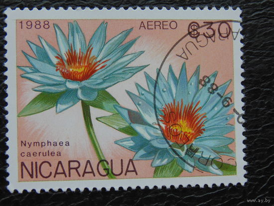 Никарагуа 1988 г. Флора.