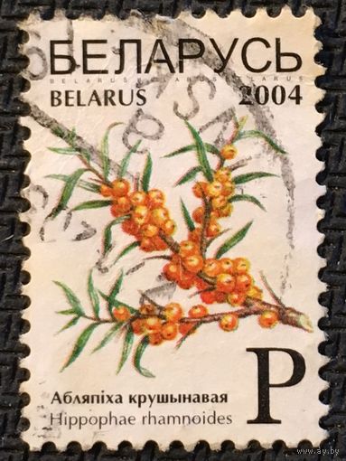 ЦІКАВІЦЬ АБМЕН! 2004, абляпіха крушынавая, Р
