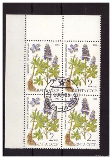 СССР.1985.Квартблок. Лекарственные растения Сибири.Живокость сетчатоплодная.Состояние отличное.ГаШ.