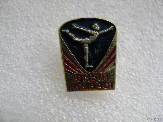 Знак. Юный гимнаст