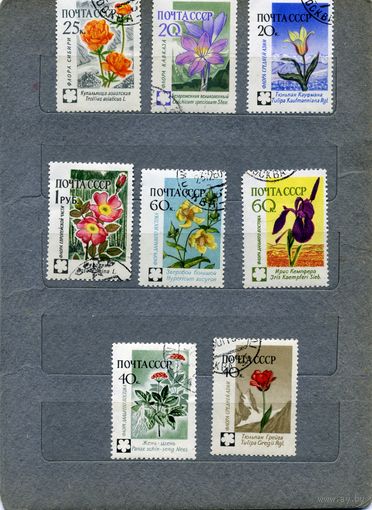СССР, 1960, ЦВЕТЫ,     серия   8м