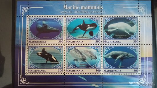 Блок  РЫБЫ МОРСКИЕ ОБИТАТЕЛИ ФАУНА   MNH