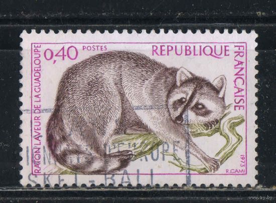 Франция 1974 Природа Енот-полоскун #1843