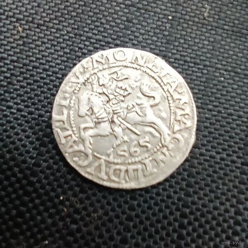 Полугрошка 1565.