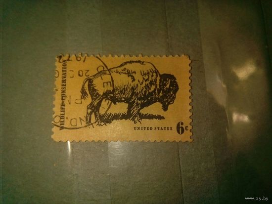 США, , ФАУНА,    1м