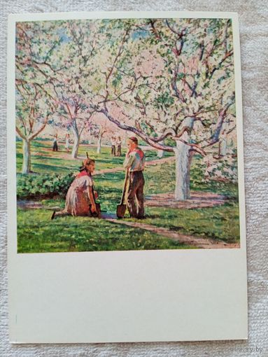 Пионеры, школа. Трохименко. В школьном саду