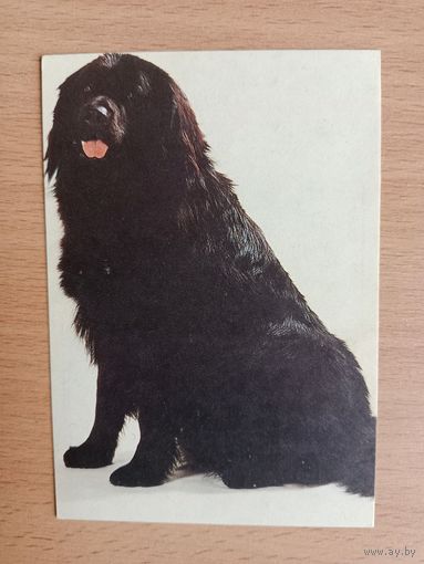 Календарик,1992-1993