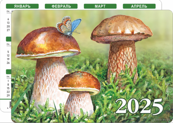 Карманный календарик. Грибы. 2025 год