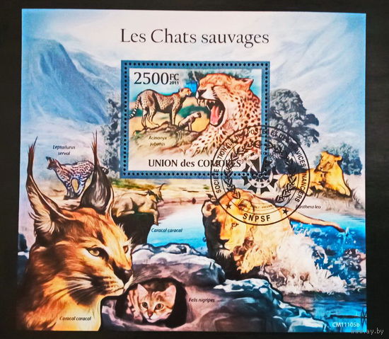 ЛИСТ ФАУНА ТИГРЫ ХИЩНИКИ   СТО