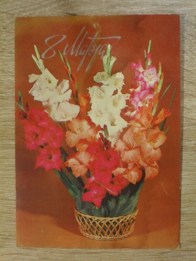 ПОДПИСАННАЯ ОТКРЫТКА ПРОШЕДШАЯ ПОЧТУ. СССР."8 МАРТА" фото Л. КРУЦКО. 1984 год.