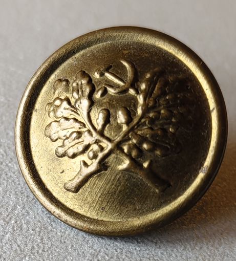 Пуговица лесника, 1961 год