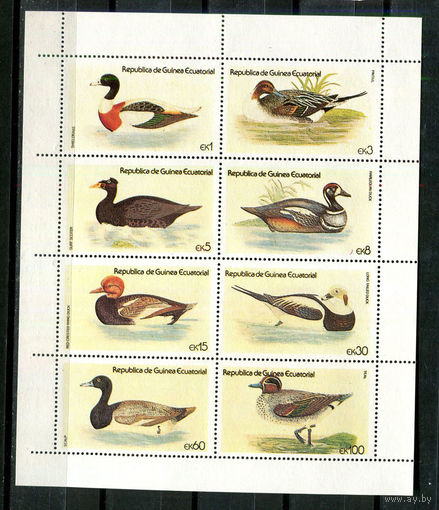 Экваториальная Гвинея - 1978 - Птицы - сцепка - 8 марок. MNH.  (Лот 56JC)-TG3P60
