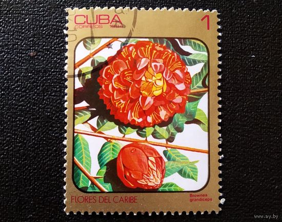 Марка Куба 1984 год Цветы