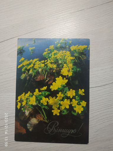 ОТКРЫТКА "ПОЗДРАВЛЯЮ!"