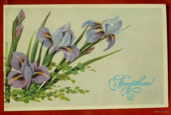 Поздравляю! Подписанная. Двойная. 1989 года. Кузнецова. 1145.