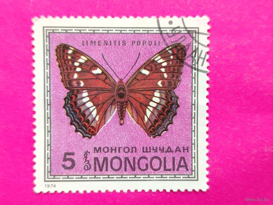 Монголия. Бабочки. ( 1 марка ) 1974 года. 4-8.