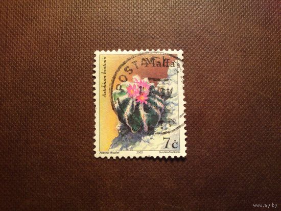 Мальта 2002 г.Кактусы и суккуленты.Ацтекиум Хинтона ./53а/