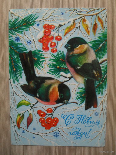 ПОДПИСАННАЯ ОТКРЫТКА .СССР. 1981 год. "С НОВЫМ ГОДОМ"! худ. Р. ДОСТЯН