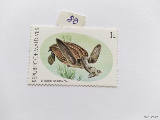 Мальдивы  1980 черепаха