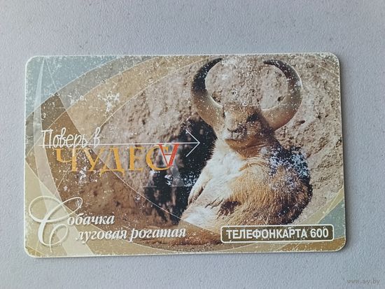 Телефонная карта. Собачка луговая рогатая