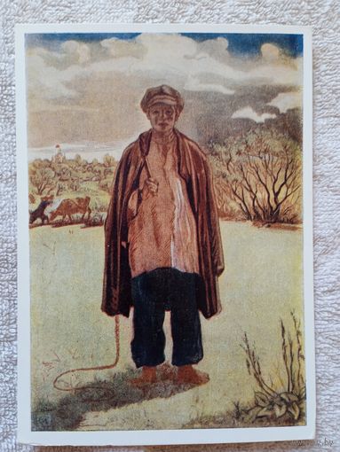 1953. Соколов. Подпасок