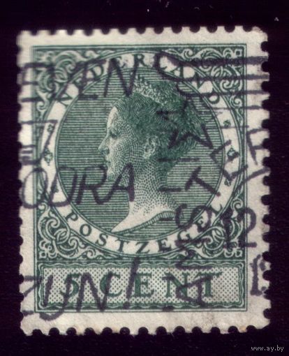 1 марка 1924 год Нидерланды 151а