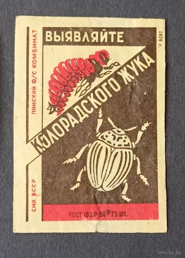Выявляйте колорадского жука Пинский ф/с