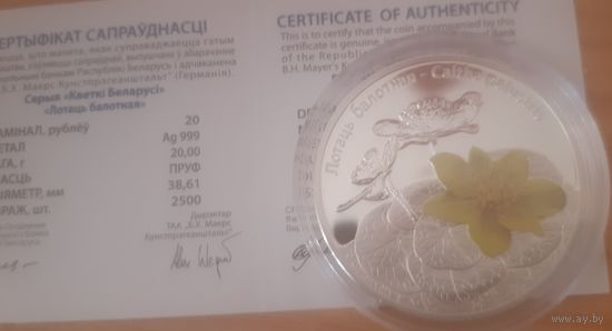 Лотать болотная, 20 рублей. 999. Банк. С рубля!