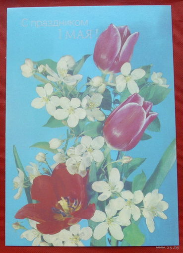 1 мая! Чистая. 1989 года. Фото Дергилева. 1795.