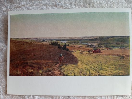 1954. Ширяев. К северу от Вологды