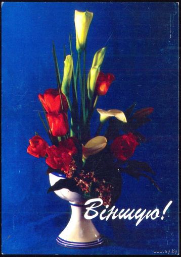 Беларусь ДМПК 1996 Віншую !