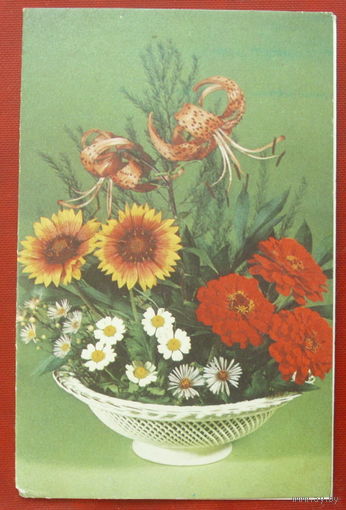 Поздравляем! Подписанная. Двойная. 1980 года. Круцко. 1238.