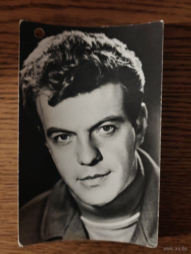 Артисты шалевич