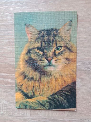 Календарик 1990