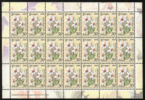Беларусь. 2008. Стандарт.  Нарцисс (50р) (з.19-2010) Лист